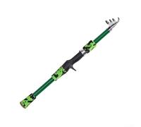Entgoinggo Juego de caña de pescar telescópica, con carrete ligero FRP Rod 18M, para niños Kit de anillos guía de fundición suave, con cebos y ganchos, para viajes verde (C)