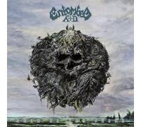 Entombed A.D. - Back To The Front (Sunburst Yellow/Red Vinyl) [VINYL] [Vinilo]