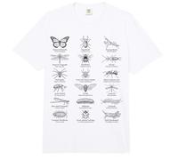 Entomología Bug Especies Nombres Historia Natural Científica Comfort Colors Adult Heavyweight T-Shirt