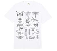 Entomología Insectos Cuadro de Especies Taxonomía Científica de Insectos Comfort Colors Adult Heavyweight T-Shirt