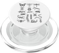 Entomología Insectos Cuadro de Especies Taxonomía Científica de Insectos PopSockets PopGrip para MagSafe