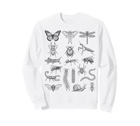 Entomología Insectos Cuadro de Especies Taxonomía Científica de Insectos Sudadera