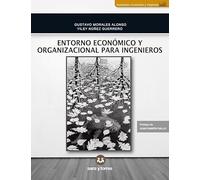 Entorno económico y organizacional para ingenieros