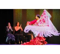 Entrada para Sensaciones en Teatro Flamenco de Granada: Miércoles 22 de abril / 19 h