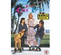 Entre chiens et chats