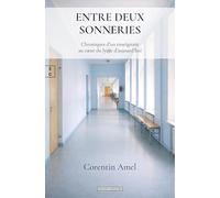 Entre deux sonneries: Chroniques d'un enseignant au coeur du lycée d'aujourd'hui