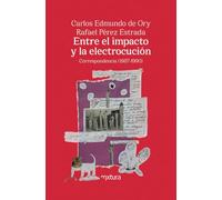 Entre el impacto y la electrocución: Correspondencia (1987-1990) (SIN COLECCION)