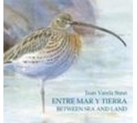 Entre Mar Y Tierra / Between Sea And Land - Las Marismas Del Sur / The