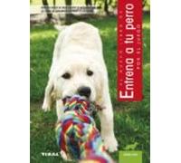 Entrena A Tu Perro Por El Juego