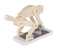 Entrenador de columna lumbar con proporciones de la vida real para corrección de postura, educación biomecánica y seguridad en el gimnasio