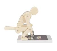 Entrenador de columna lumbar para anatomía biomecánica. Modelo de demostración de fuerza de flexión del cuerpo humano al levantar pesas. Demuestra las fuerzas de levantamiento de pesas para la corre