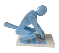 Entrenador de columna lumbar para anatomía biomecánica. Modelo de demostración de fuerza de flexión del cuerpo humano al levantar pesas. Demuestra las fuerzas de levantamiento de pesas para la corre