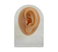 Entrenador Profesional De Perforación Facial Corporal De Silicona Con Textura De Piel Realista Para Educación Y Laboratorios Estéticos Modelo De Anatomía Reutilizable