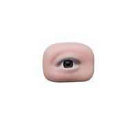 Entrenador profesional de pestañas 3D con tono de piel natural para principiantes y técnicos de belleza avanzados, ojo izquierdo/derecho, práctica de pestañas izquierda/derecha