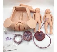 Entrenamiento avanzado de partería Simulador de Parto Maniquí de Maternidad de Parto de tamaño Natural Incluye Modelos de útero de bebé Saco amniótico Pelvis y Placenta Umbilical para enseñanza de gi