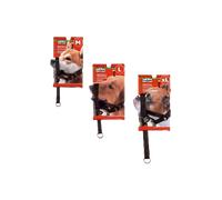 Entrenamiento para perros con bozal Camon | L