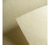 Entretela endurecedora Vlieseline Decovil 1, tacto similar al cuero, adecuada para la confección de bolsos, 90 cm de ancho, beige, Per Metre