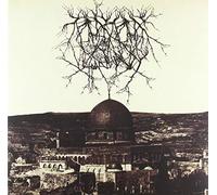 Entropy Created Consciousness - Impressions of the Morning Star