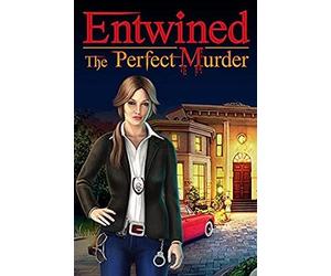 Entwined: The Perfect Murder (PC) Steam Key GLOBAL
