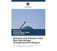 Entwurf und Analyse einer Bio-CNG-Anlage (komprimiertes Biogas): Prozessdesign, Optimierung und Leistungsbewertung von nachhaltigen Bio-CNG-Systemen