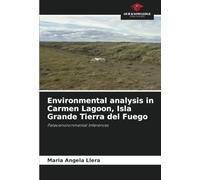 Environmental analysis in Carmen Lagoon, Isla Grande Tierra del Fuego: Paleoenvironmental Inferences