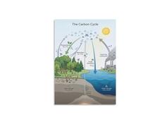 Environmental Science Poster Climate Change Classroom Reference