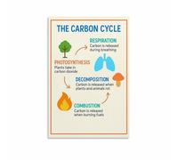 Environmental Science Wall Art - The Carbon Cycle Educational Chart, Biology Classroom Decor & Gift for Teachers, Students (Framed,12x18inch(30x45cm))
