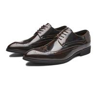 ENWIND Hombres Punta Puntiaguda Zapatos De Vestir con Cordones para El Trabajo, Viajes Formal Negocios Boda Brogues Zapatos Oxford Casuales,Marrón,39 EU