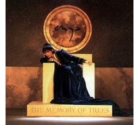 Enya – The Memory of Trees – Vinilo 12" – Importación USA