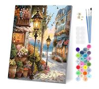 EOBROMD Escena de Calle de Pueblo Pequeño Pintar por Numeros Adultos con Marco, Cuadros para Pintar por Numeros, Lona sin Pliegues Pintura al Cuadros por Numeros, Decoración del Hogar 30x40cm