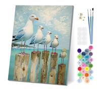 EOBROMD Gaviotas Pintar por Numeros Adultos con Marco, Cuadros para Pintar por Numeros Animal, Lona sin Pliegues Pintura al Cuadros por Numeros, Decoración del Hogar 30x40cm