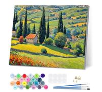 EOBROMD Paisaje Rustico Pintar por Numeros Adultos con Marco, Cuadros para Pintar por Numeros, Lona sin Pliegues Pintura al Cuadros por Numeros, Decoración del Hogar 30x40cm