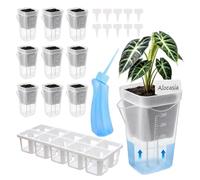 Eojpdji Maceta de Autorriego 10 Vasos Cultivo Transparentes