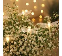 EONANT luces de cadena de libélula 10 pies 20 LED retro alambre de cobre luces de hadas de mariposa, decoración de banquete de boda de jardín de Navidad con pilas e iluminación de verano (Libélula)