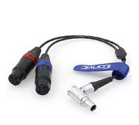 Eonvic Cable de entrada de audio de 10 pines a 2x3 pines Atomos XLR Cable de salida de entrada de audio para Shogun Monitor Recorder