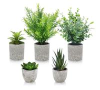 EOPUOZS 5 Piezas Plantas Decorativas, Planta Artificial Pequeña, Serpiente, Agave Suculentas, Aloe Garra, para Oficina,Decoración del Hogar