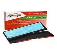 EPAuto - Filtro de admisión de aire + cubierta de rejilla para Tesla Model 3 2021-2025, compatible con entrada de aire exterior, 31,8 x 9,5 cm (largo x ancho)