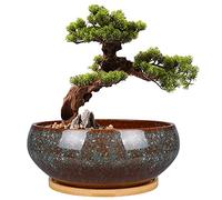 EPFamily - Maceta de cerámica para bonsái de 20 cm, Maceta para suculentas, Poco Profunda, esmaltada, con Agujero de Drenaje y platillo de bambú para Plantas de Interior, marrón