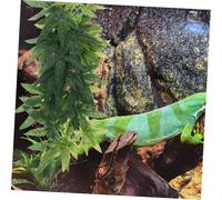 EPIGEIST 2 Piezas Colgantes Artificiales para Terrarios Simulación de Hábitat Natural para Reptiles Accesorios Decorativos para Dragón Barbudo Gecko Camaleón y Serpiente