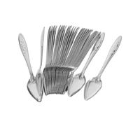 EPIGEIST 50 Piezas Cuchara de alimentación de Cuchara de Ave Que cría para Herramientas de alimentación de pájaros Acero Inoxidable Plata