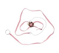 EPIGEIST Arnés para Tortuga Cuerda De Transporte, Correa Ajustable para Mascota Reptil, Tamaño Pequeño, Color Rosa, Uso Exterior, Paseo De Tortugas Mascotas