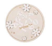 EPIGEIST Juego de 12 Tarjetas de Mensuales para Ñiño Madera Natural Diseño de Margarita Marcador Mensual para Fotos de Crecimiento y Recuerdo del Primer Año