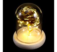 EPIGEIST Rosa De Pan De Oro Rosa De Escritorio Flores Artificiales Decoración Retro Mamá De Cumpleaños Rosa Nunca Marchita Decoración De La Oficina Florecer Rosas Chasis De Madera Dorado