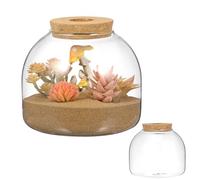 EPIGEIST Terrario Pequeño de Musgo en Tarro de Cristal con Corcho Perforado, Contenedor para Plantas Hidropónicas y Micropaisajes, Pecera Decorativa para Jardín Interior