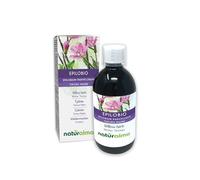 Epilobio (Epilobium parviflorum) hierba Tintura Madre sin alcohol Naturalma - Extracto líquido gotas 500 ml - Complemento alimenticio - Vegano