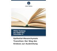 Epithelial-Mesenchymale Transition: Der Weg des Krebses zur Ausbreitung