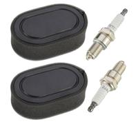 EPLZON 2 Piezas Filtro de Aire y 2 Piezas Bujías, para motores Briggs & Stratton 550E 550EX Eco-Plus Serie 575EX Reemplaza 798339 798452 593260 093000er 09P0000er Motor 4247 5432 5432K, con esponja