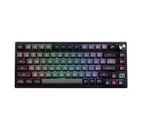 EPOMAKER TH80 SE Junta 75% Teclado Mecánico, NKRO Hot-Swap RGB Triple Modo Teclado Gaming con Poron/Espuma EVA, Programable, 4000mah Batería para E-Sport/Win/Mac(Black Silver, Budgerigar Switch)