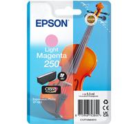 Epson 250 cartucho de tinta magenta claro (original)