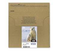 Epson Polar bear Multipack 26 4 colores